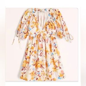 Abercrombie and Fitch Fall Floral mini dress